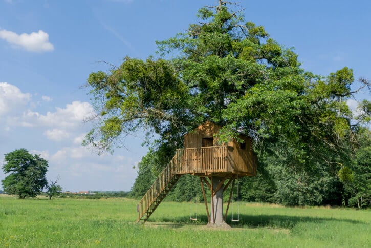 壮观的儿童树屋