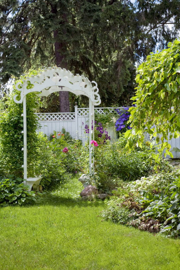 爬满藤蔓的拱门是进入花园的完美入口。它设定了基调，让那些进入你的花园的人感觉好像被完全运送到另一个地方。