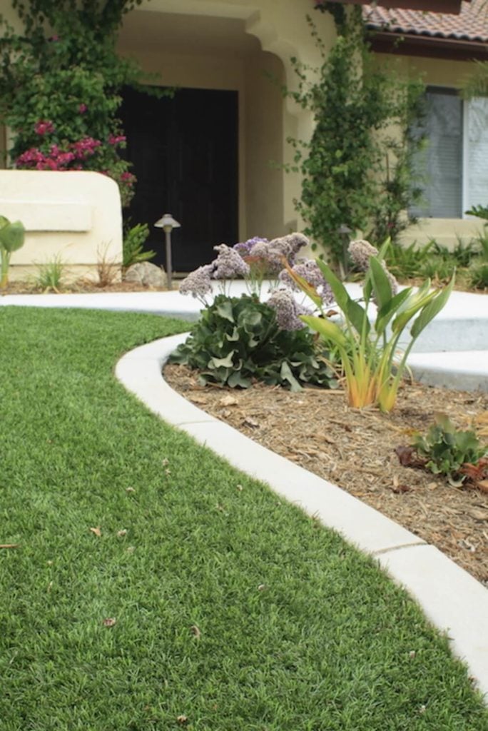 阿斯特罗草皮给你的院子一个整洁，干净，维护良好的感觉。这是对草坪护理有严格指导方针的社区的理想选择。如果你的院子总是在规范中，就没有必要担心挑剔的协会。