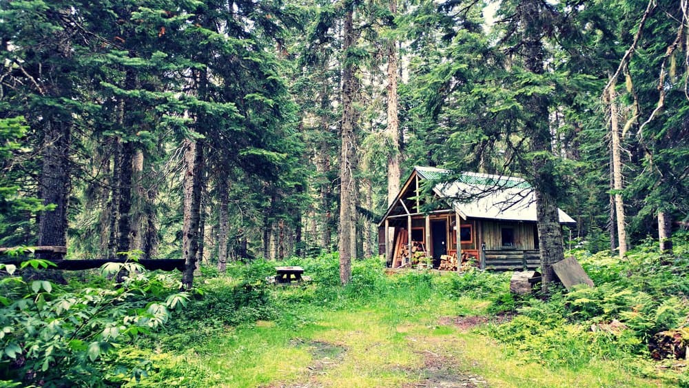 树林里的小木屋