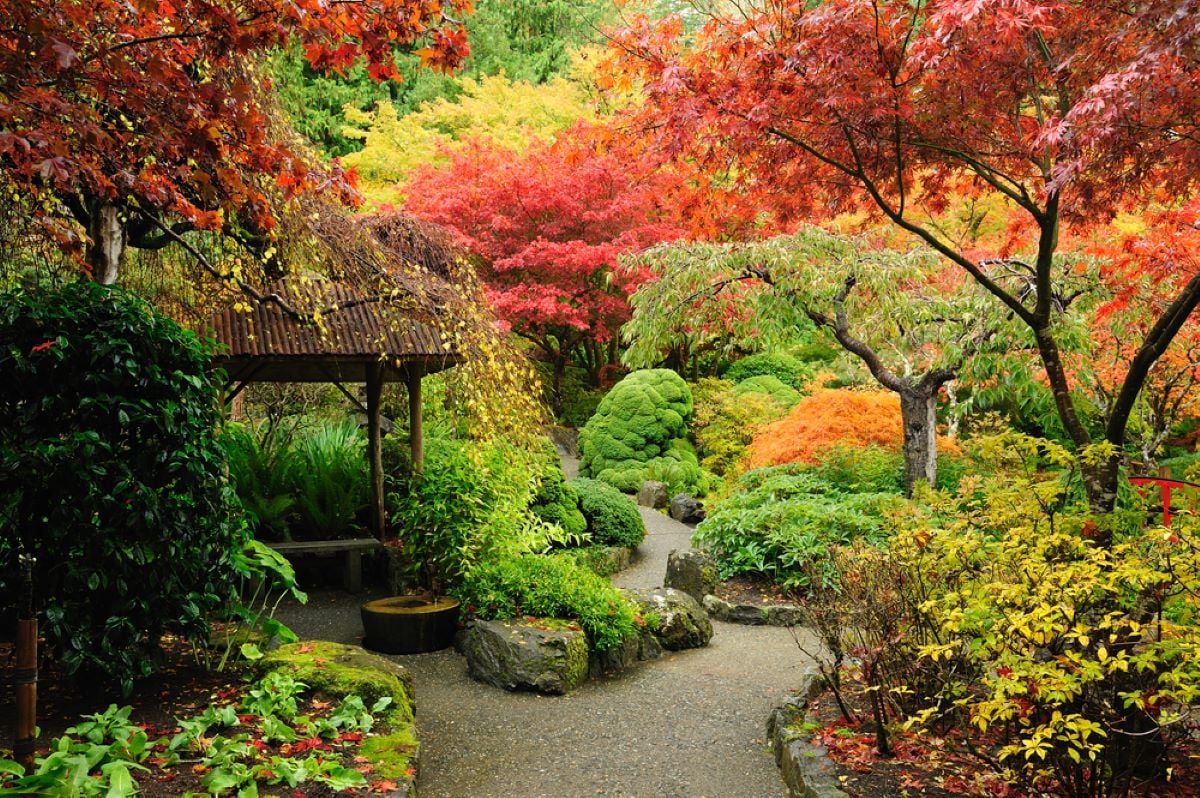 秋天的花园