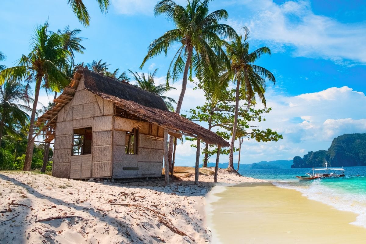 海滩和椰子树附近的简陋小屋。