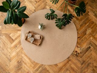 一个圆形的地毯在木地板和室内植物。